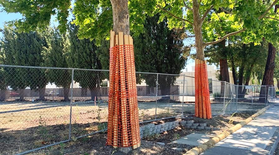 Geotextília a fa törzsének védelmére a gyomosodás és párolgás ellen